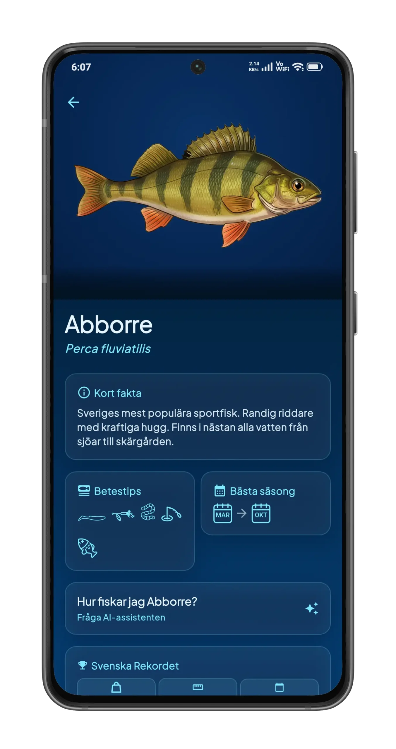 abborre-portrait