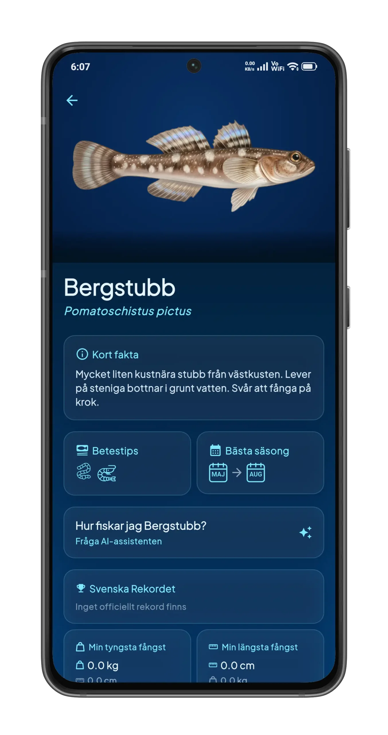 bergstubb-portrait